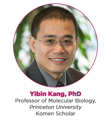 Yibin Kang, PhD | Susan G. Komen® New Jersey